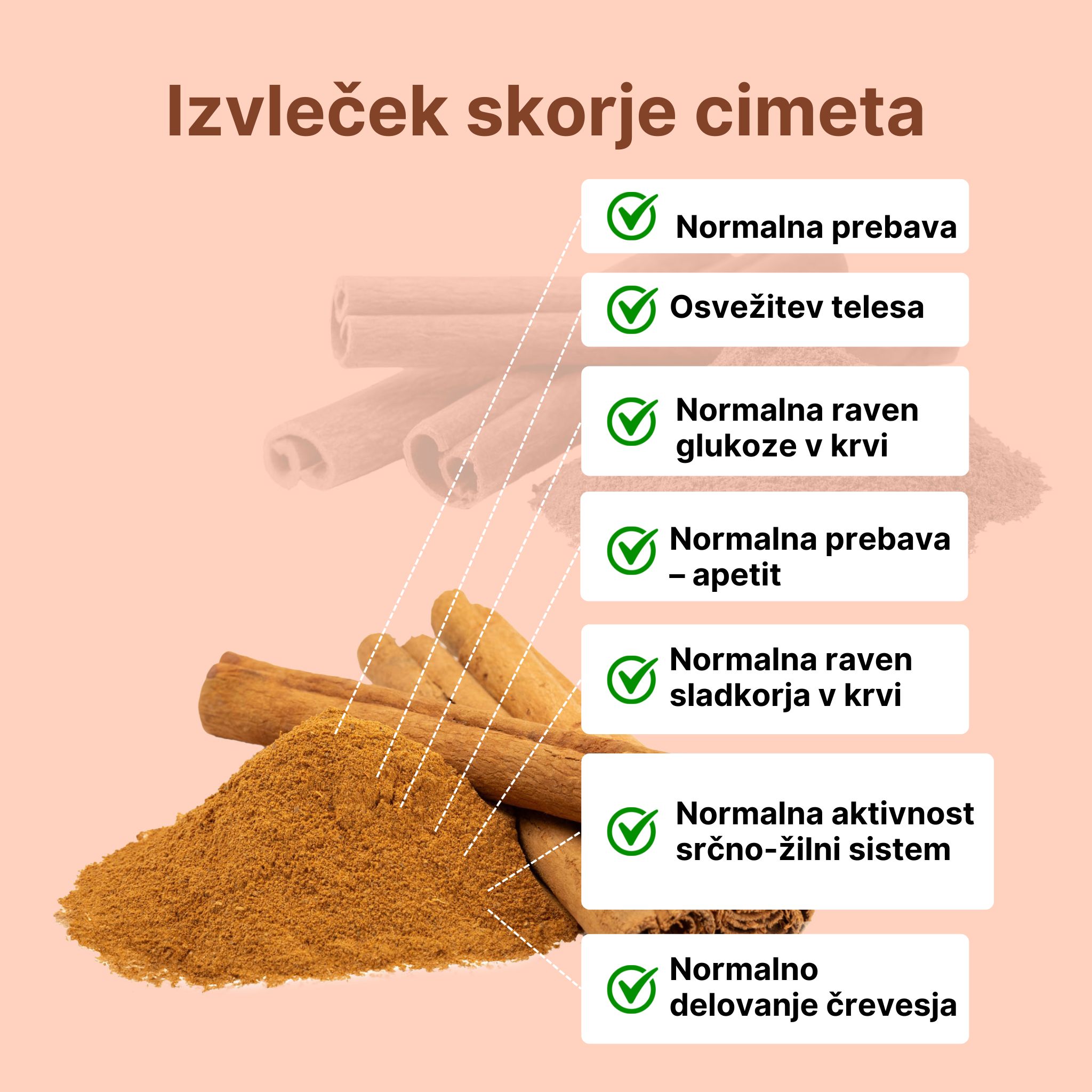 (Slovinština) - 2024-10-30T132437.962